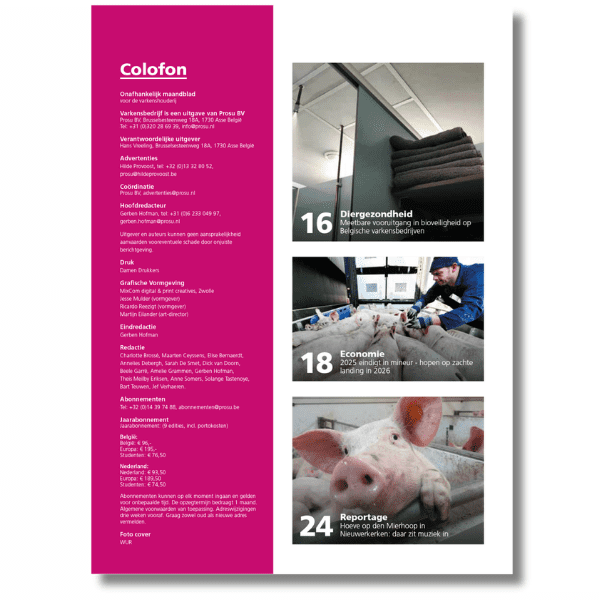 Varkensbedrijf – Proefnummer - Afbeelding 3