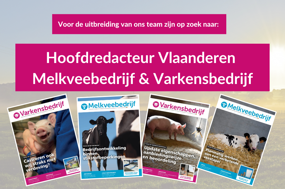 Vacature hoofdredacteur Vlaanderen Melkveebedrijf & Varkensbedrijf