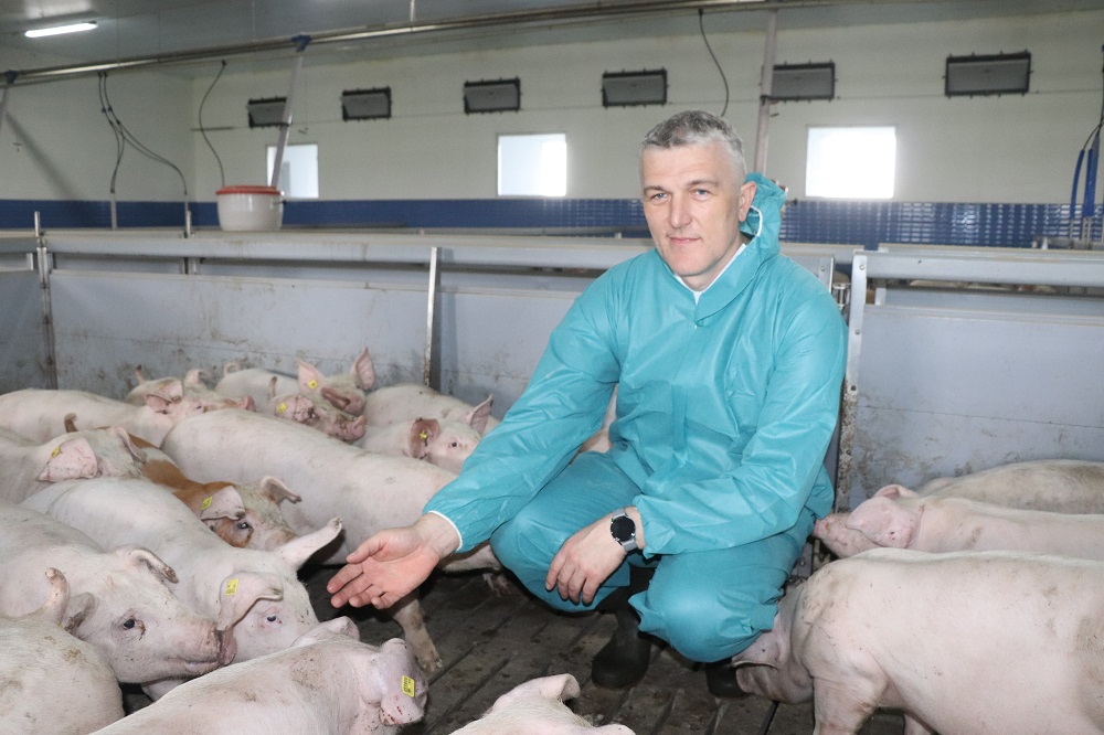Poolse varkenshouder overleeft nationale krimp