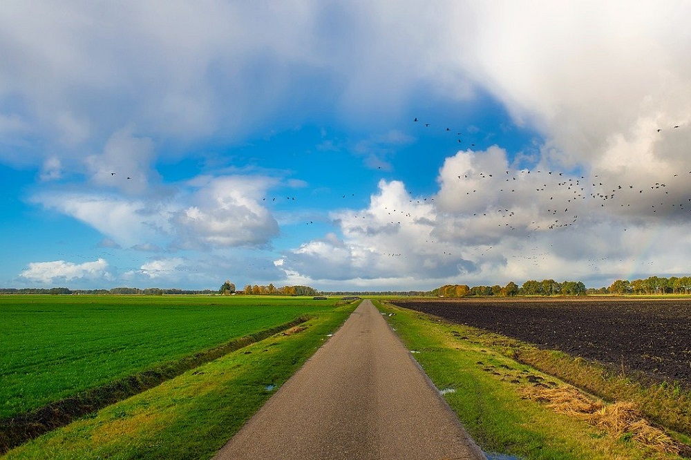 Landbouwers getroffen door stikstofakkoord dreigen in de kou te blijven