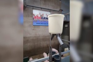 Pulsfeeder: automatische ruwvoerverstrekking voor actiever en gezonder gedrag