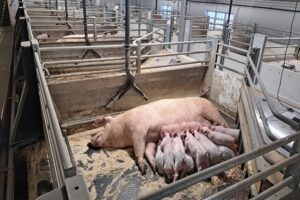 Moving Floor sluit deal van 50 miljoen in China