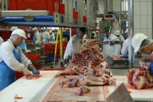 Van 2.500 naar 203 slachthuizen in Groot- Britannië