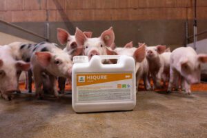 Elanco neemt AHV International over