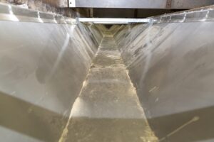 Helpt u mee om dagontmesting in kraamhokken erkend te krijgen als ammoniakemissie-reducerend systeem?