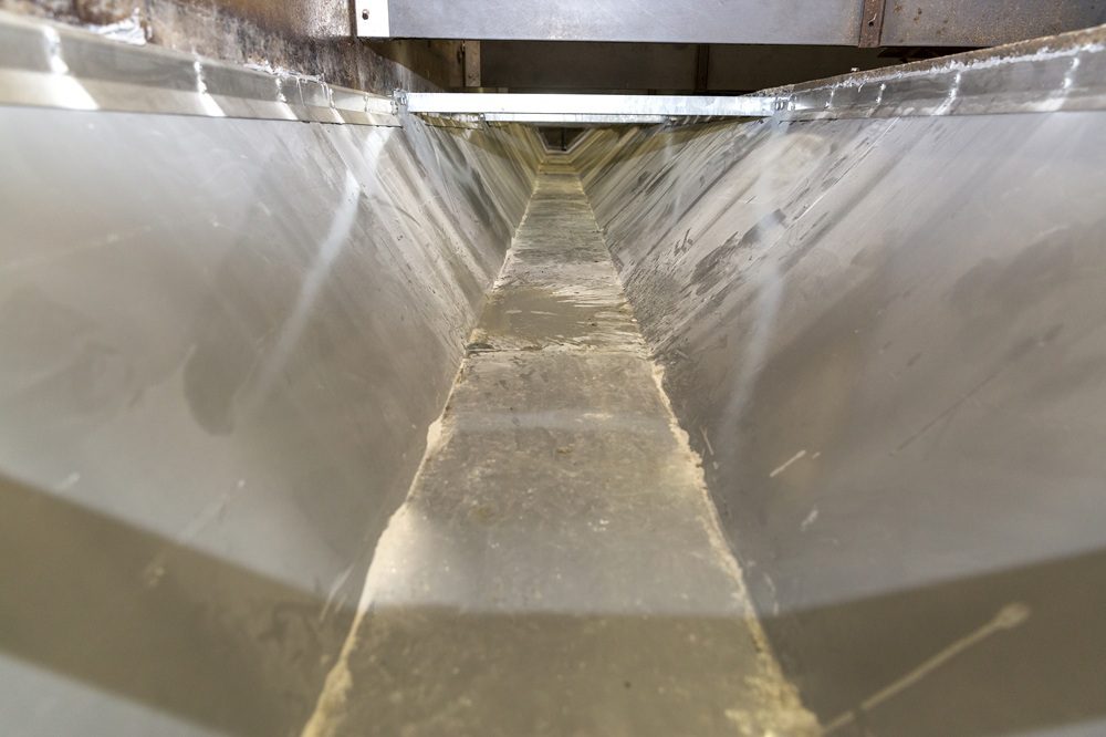 Helpt u mee om dagontmesting in kraamhokken erkend te krijgen als ammoniakemissie-reducerend systeem?