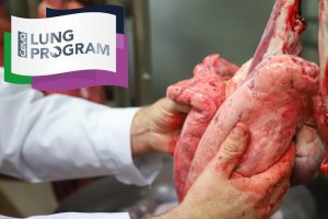 Tien jaar longonderzoek met het Ceva Lung Program.Wat hebben we geleerd?