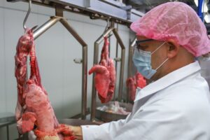 Wat kan longonderzoek jouw bedrijf opleveren?