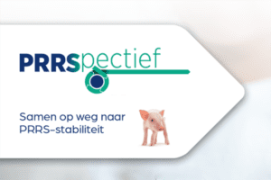 PRRSpectief: samen werken aan stabiele resultaten