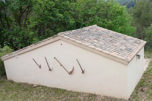 Catalonië blijft struggelen met Afrikaanse varkenspest