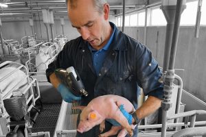 Vaccins juist en gecontroleerd toedienen 