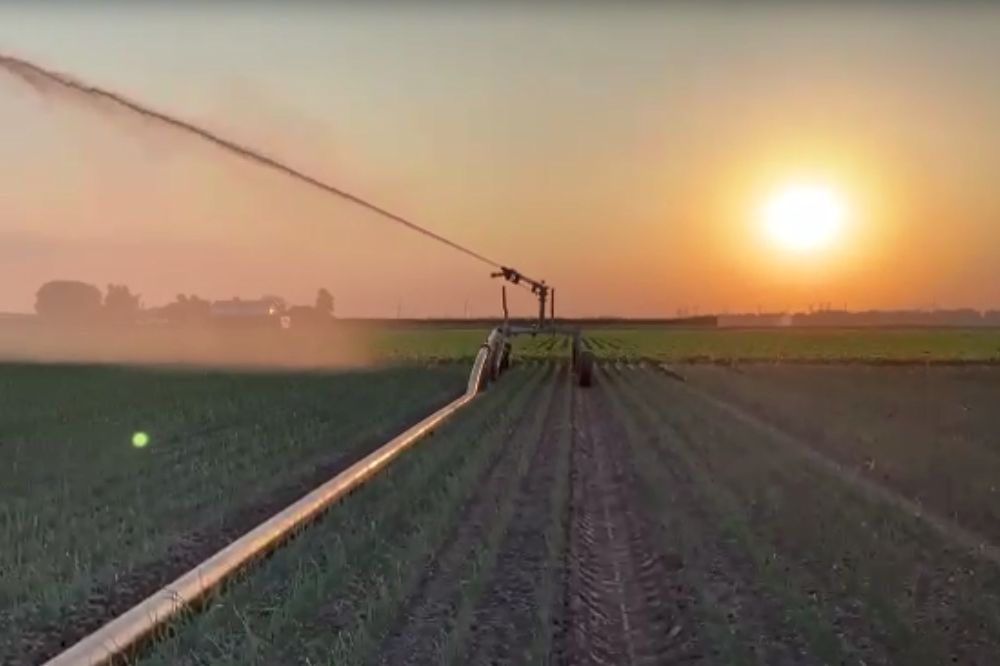 Droogte zet landbouw opnieuw onder druk: klimaatverandering versterkt watertekort