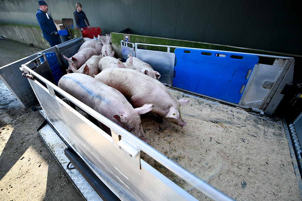 Vernieuwde bioveiligheidscheck geeft nauwkeuriger beeld van bedrijfsrisico’s